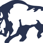 Regal Internacional ZL